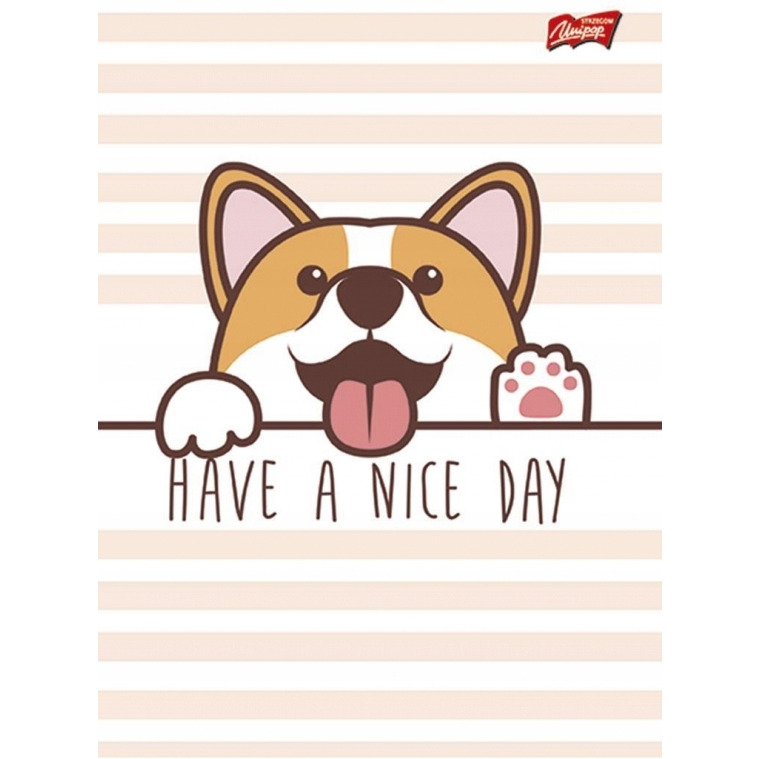 zezyt a5 16k 3linia dwukol